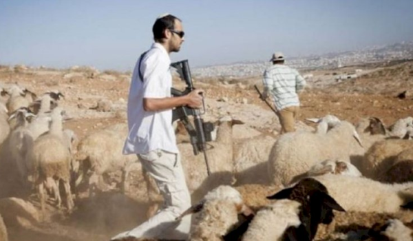 Exstrimest Israeli Settlers continue daily attacks on Palestinian herders