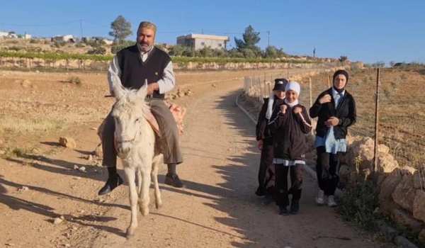 Palestinian Teacher’s Donkey Commute Ref...